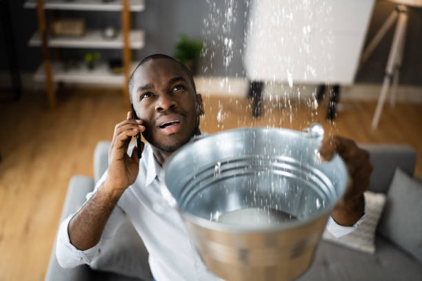  Perry Park, CO Water damage restoration Pros
