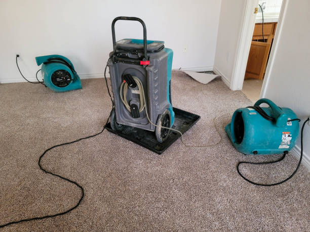 Best Professional water damage repair  in Perry Park, CO