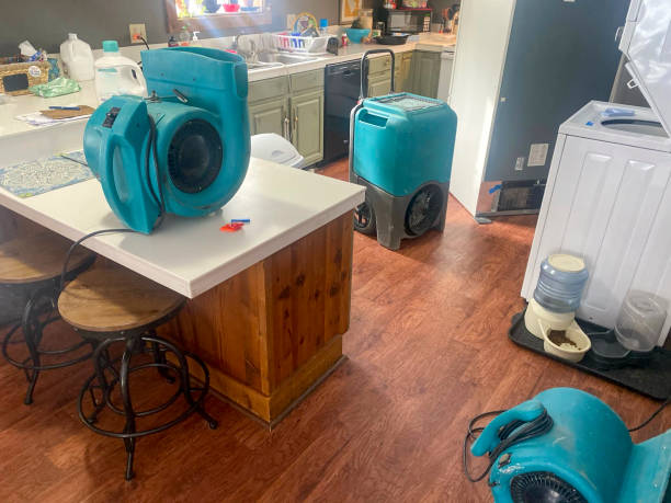 Best 24-hour water damage restoration  in Perry Park, CO