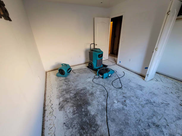 Best Water damage cleanup near me  in Perry Park, CO