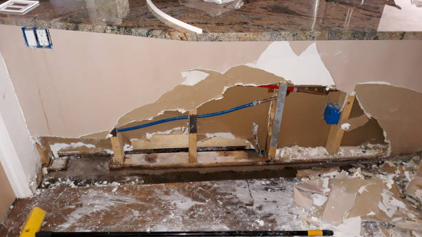 Best Flood restoration services  in Perry Park, CO