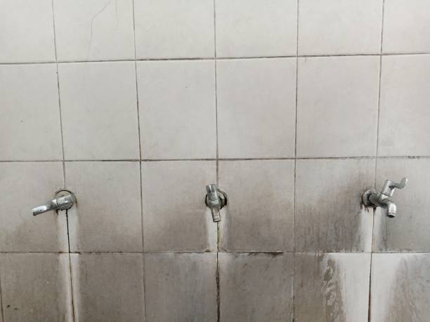 Best Ceiling water damage repair  in Perry Park, CO