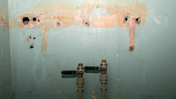 Best Basement water damage restoration  in Perry Park, CO
