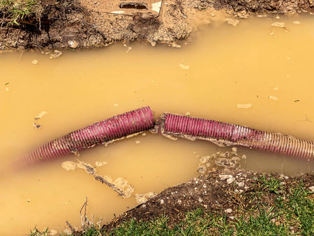 Water damage restoration mold remediation in Perry Park, CO