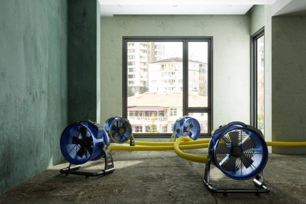 Best 24-hour water damage restoration  in Perry Park, CO