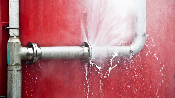 Best Local water damage restoration  in Perry Park, CO